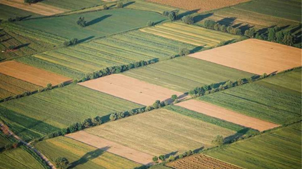 Ενιαία Αίτηση Ενίσχυσης